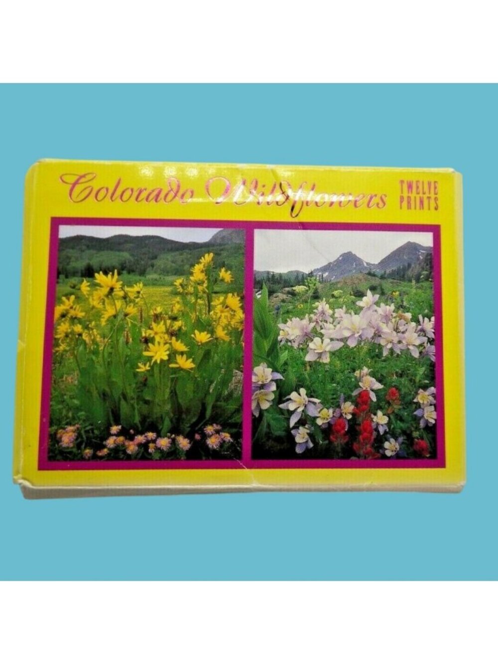 Colorado Wildflowers Postcard Set Of 12 Prints On Recycled Paper